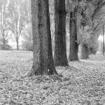Gedanken zum Herbst
